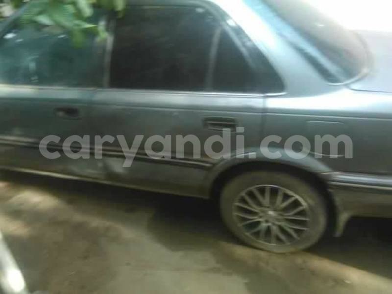 Big with watermark 17759868 1009383585829887 7170986610997852749 n