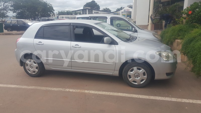 Big with watermark 17759868 1009383585829887 7170986610997852749 n