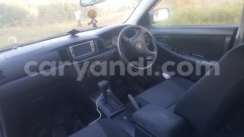 Big with watermark 17795885 1009383655829880 1013800829354359244 n