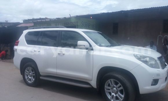 Buy Used Toyota Land Cruiser Prado White Car in Chipata in Zambia Buy Used Toyota Land Cruiser Prado White Car in Chipata in Zambia