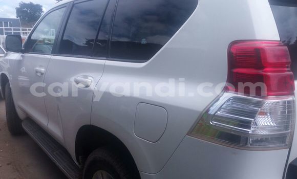 Buy Used Toyota Land Cruiser Prado White Car in Chipata in Zambia Buy Used Toyota Land Cruiser Prado White Car in Chipata in Zambia