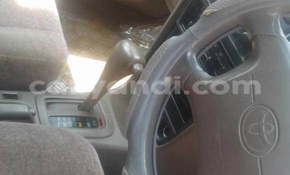 Tenga Tsaru Toyota Corolla Sirivha Mota in Chipata in Zambia Tenga Tsaru Toyota Corolla Sirivha Mota in Chipata in Zambia