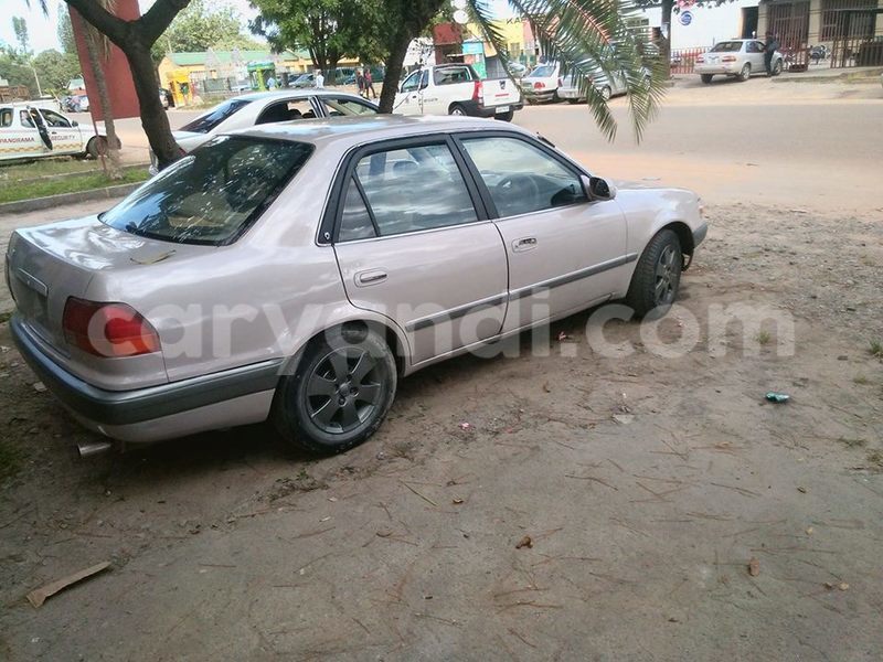 Big with watermark 17795885 1009383655829880 1013800829354359244 n