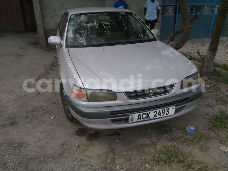 Big with watermark 17796165 1009383559163223 1184458798670455142 n