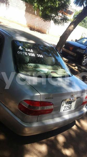 Big with watermark 17523240 446906552317802 3020784409794938775 n