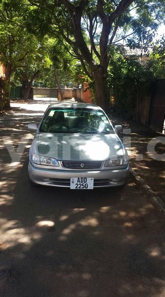 Big with watermark 17795701 10206966928850318 4670280897170890025 n