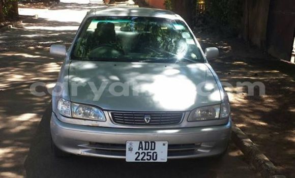 Buy Used Toyota Corolla Silver Car in Chipata in Zambia Buy Used Toyota Corolla Silver Car in Chipata in Zambia