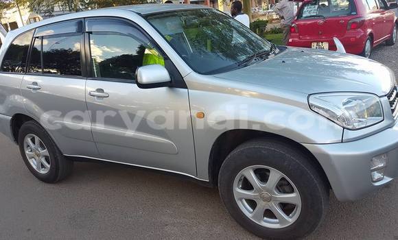 Buy Used Toyota RAV4 Silver Car in Chipata in Zambia Buy Used Toyota RAV4 Silver Car in Chipata in Zambia