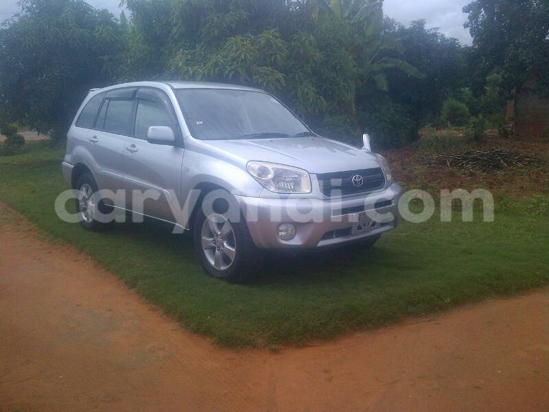 Big with watermark 17523240 446906552317802 3020784409794938775 n