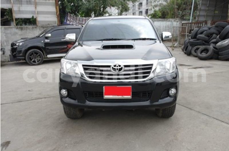 Big with watermark 1