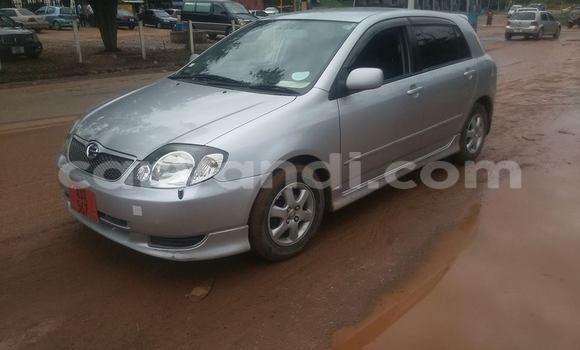 Buy Used Toyota Runx Silver Car in Chipata in Zambia Buy Used Toyota Runx Silver Car in Chipata in Zambia