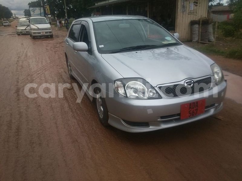 Big with watermark 17796439 1315154081906354 3590367499681648485 n