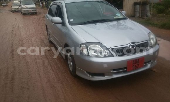 Buy Used Toyota Runx Silver Car in Chipata in Zambia Buy Used Toyota Runx Silver Car in Chipata in Zambia