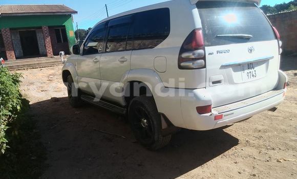 Buy Used Toyota Prado White Car in Chipata in Zambia Buy Used Toyota Prado White Car in Chipata in Zambia