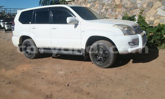Buy Used Toyota Prado White Car in Chipata in Zambia Buy Used Toyota Prado White Car in Chipata in Zambia