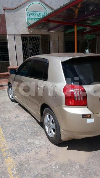 Big with watermark 17796439 1315154081906354 3590367499681648485 n