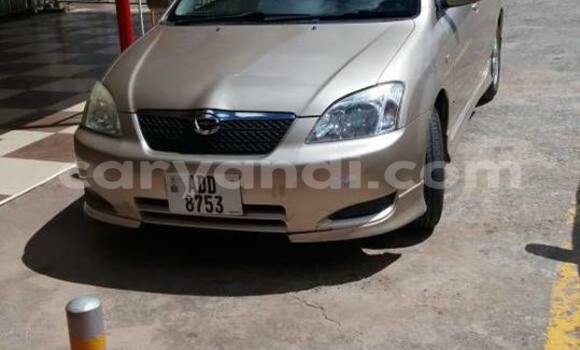 Buy Used Toyota Runx Other Car in Chipata in Zambia Buy Used Toyota Runx Other Car in Chipata in Zambia