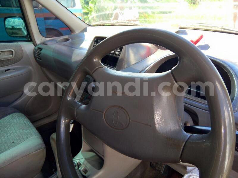 Big with watermark 17795701 10206966928850318 4670280897170890025 n