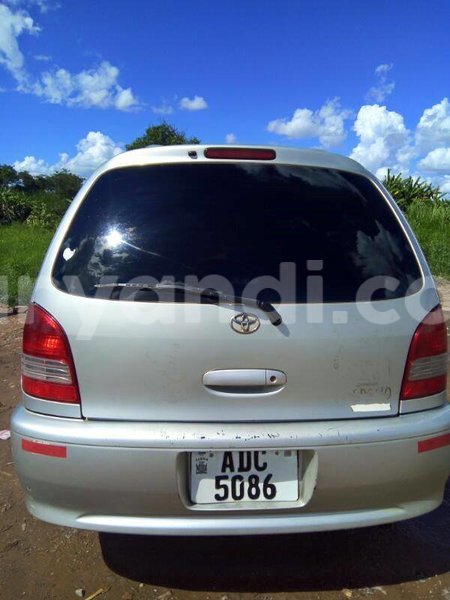 Big with watermark 17523240 446906552317802 3020784409794938775 n