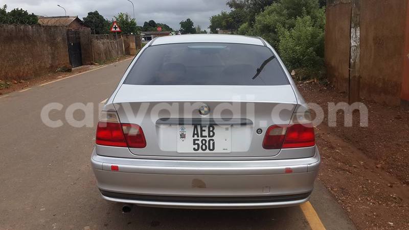 Big with watermark 17523240 446906552317802 3020784409794938775 n