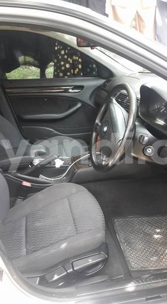 Big with watermark 17796439 1315154081906354 3590367499681648485 n