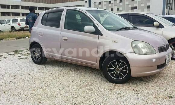 Tenga Tsaru Toyota Vitz Zvimwe Mota in Chipata in Zambia Tenga Tsaru Toyota Vitz Zvimwe Mota in Chipata in Zambia