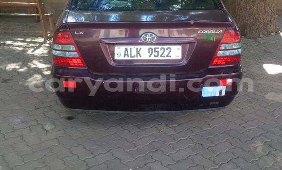 Buy Used Toyota Corolla Other Car in Chipata in Zambia Buy Used Toyota Corolla Other Car in Chipata in Zambia