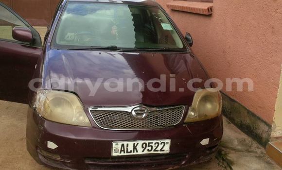 Buy Used Toyota Corolla Other Car in Chipata in Zambia Buy Used Toyota Corolla Other Car in Chipata in Zambia
