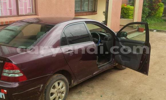 Buy Used Toyota Corolla Other Car in Chipata in Zambia Buy Used Toyota Corolla Other Car in Chipata in Zambia
