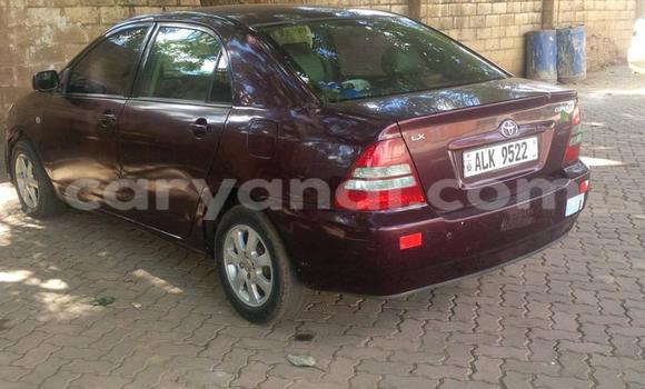 Buy Used Toyota Corolla Other Car in Chipata in Zambia Buy Used Toyota Corolla Other Car in Chipata in Zambia