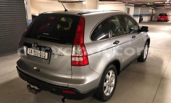 Buy Used Honda CR–V Other Car in Kabwe in Zambia Buy Used Honda CR–V Other Car in Kabwe in Zambia