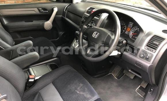 Buy Used Honda CR–V Other Car in Kabwe in Zambia Buy Used Honda CR–V Other Car in Kabwe in Zambia