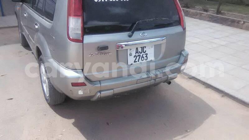 Big with watermark 17796439 1315154081906354 3590367499681648485 n