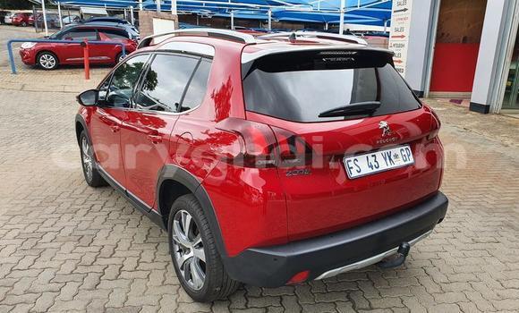 Tenga Tsaru Peugeot 2008 Tsvuku Mota in Kabwe in Zambia Tenga Tsaru Peugeot 2008 Tsvuku Mota in Kabwe in Zambia