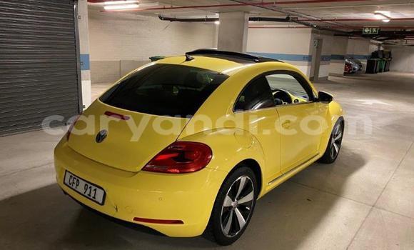 Tenga Tsaru Volkswagen Beetle Zvimwe Mota in Kabwe in Zambia Tenga Tsaru Volkswagen Beetle Zvimwe Mota in Kabwe in Zambia