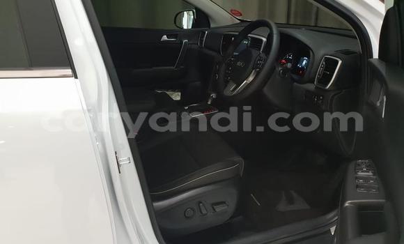 Buy Used Kia Sportage White Car in Kabwe in Zambia Buy Used Kia Sportage White Car in Kabwe in Zambia