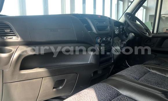 Buy Used Iveco Daily White Truck in Kabwe in Zambia Buy Used Iveco Daily White Truck in Kabwe in Zambia