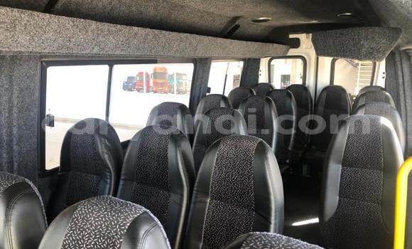 Buy Used Iveco Daily White Truck in Kabwe in Zambia Buy Used Iveco Daily White Truck in Kabwe in Zambia
