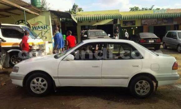 Nunua Ilio tumika Toyota Corolla Nyeupe Gari ndani ya Chipata nchini Zambia Nunua Ilio tumika Toyota Corolla Nyeupe Gari ndani ya Chipata nchini Zambia