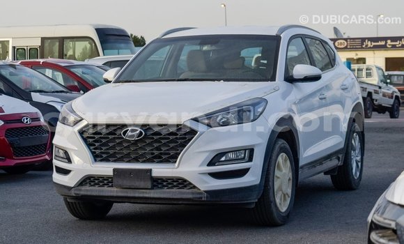 Nunua Imported Hyundai Tucson Nyeupe Gari ndani ya Import - Dubai nchini Zambia Nunua Imported Hyundai Tucson Nyeupe Gari ndani ya Import - Dubai nchini Zambia