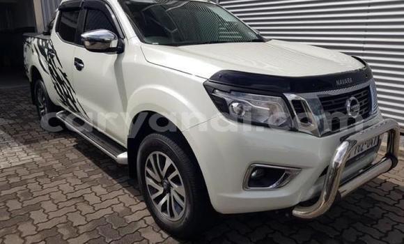 Tenga Tsaru Nissan Navara Chena Mota in Kabwe in Zambia Tenga Tsaru Nissan Navara Chena Mota in Kabwe in Zambia