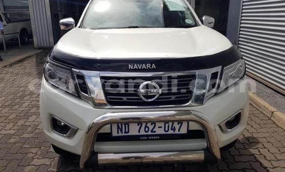 Tenga Tsaru Nissan Navara Chena Mota in Kabwe in Zambia Tenga Tsaru Nissan Navara Chena Mota in Kabwe in Zambia