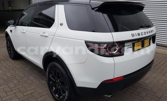 Tenga Tsaru Land Rover Discovery Sport Chena Mota in Kabwe in Zambia Tenga Tsaru Land Rover Discovery Sport Chena Mota in Kabwe in Zambia