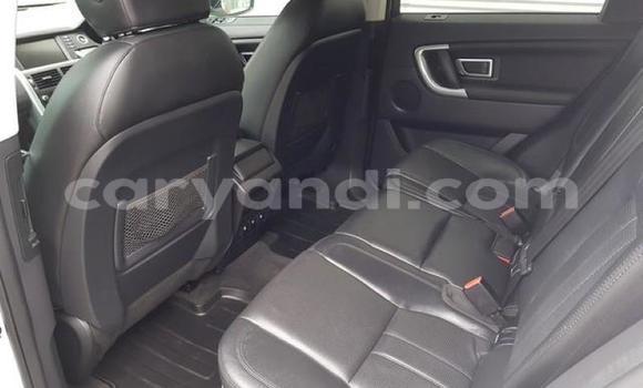 Tenga Tsaru Land Rover Discovery Sport Chena Mota in Kabwe in Zambia Tenga Tsaru Land Rover Discovery Sport Chena Mota in Kabwe in Zambia