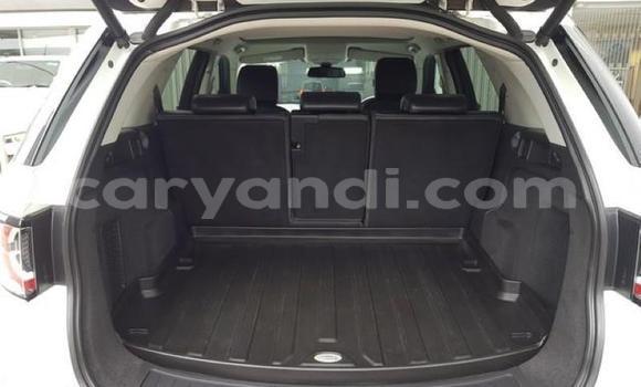 Tenga Tsaru Land Rover Discovery Sport Chena Mota in Kabwe in Zambia Tenga Tsaru Land Rover Discovery Sport Chena Mota in Kabwe in Zambia