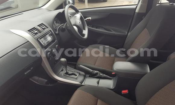 Tenga Tsaru Toyota Corolla Bhuruu Mota in Kabwe in Zambia Tenga Tsaru Toyota Corolla Bhuruu Mota in Kabwe in Zambia