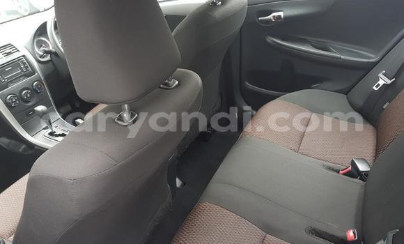 Tenga Tsaru Toyota Corolla Bhuruu Mota in Kabwe in Zambia Tenga Tsaru Toyota Corolla Bhuruu Mota in Kabwe in Zambia