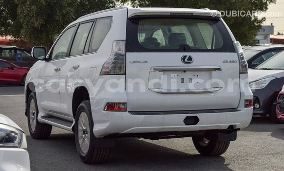 Buy Import Lexus GX White Car in Import - Dubai in Zambia Buy Import Lexus GX White Car in Import - Dubai in Zambia