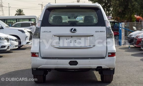 Buy Import Lexus GX White Car in Import - Dubai in Zambia Buy Import Lexus GX White Car in Import - Dubai in Zambia