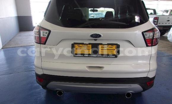 Tenga Tsaru Ford Kuga Chena Mota in Kabwe in Zambia Tenga Tsaru Ford Kuga Chena Mota in Kabwe in Zambia